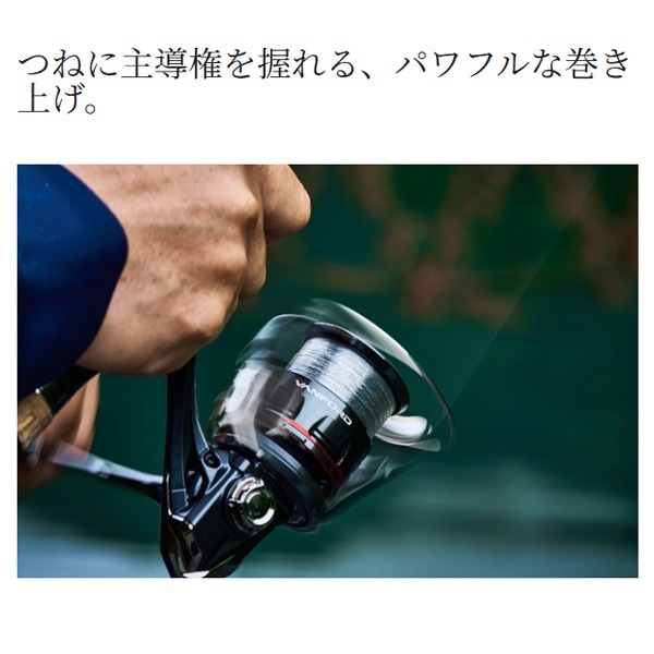 24ヴァンフォード